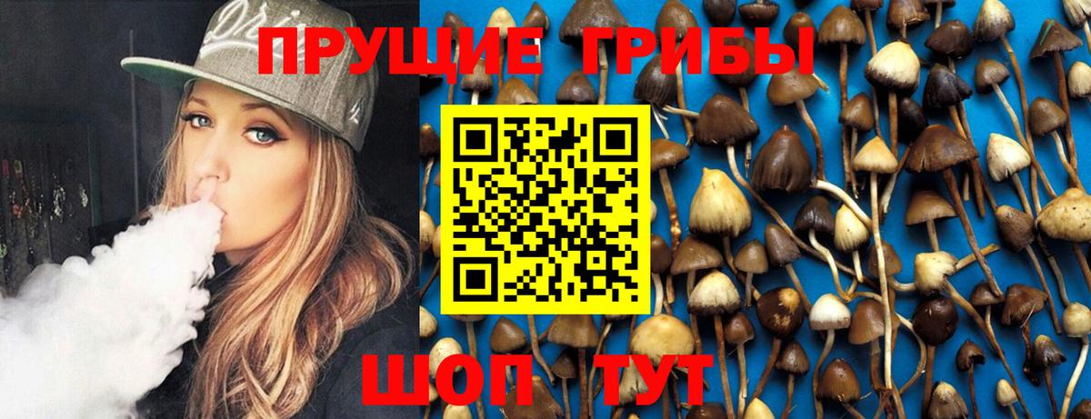 Благодарный  наркошоп  Вход с VPN  Галлюциногенные грибы Cubensis 